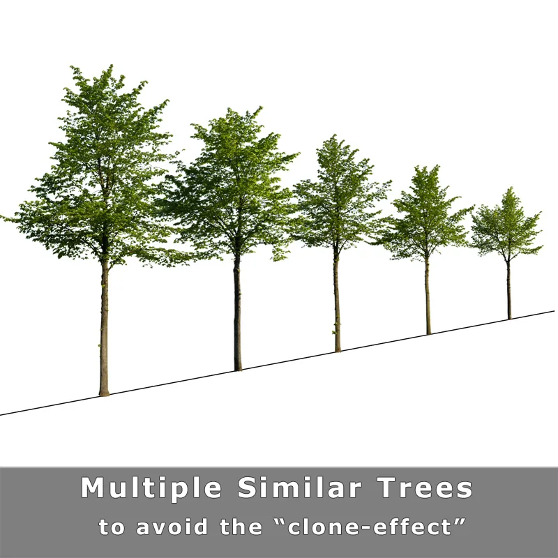 Fünf Alleebäume auf geneigter Fläche mit Hinweis auf Multiple Similar Trees zur Vermeidung des Clone-Effekts