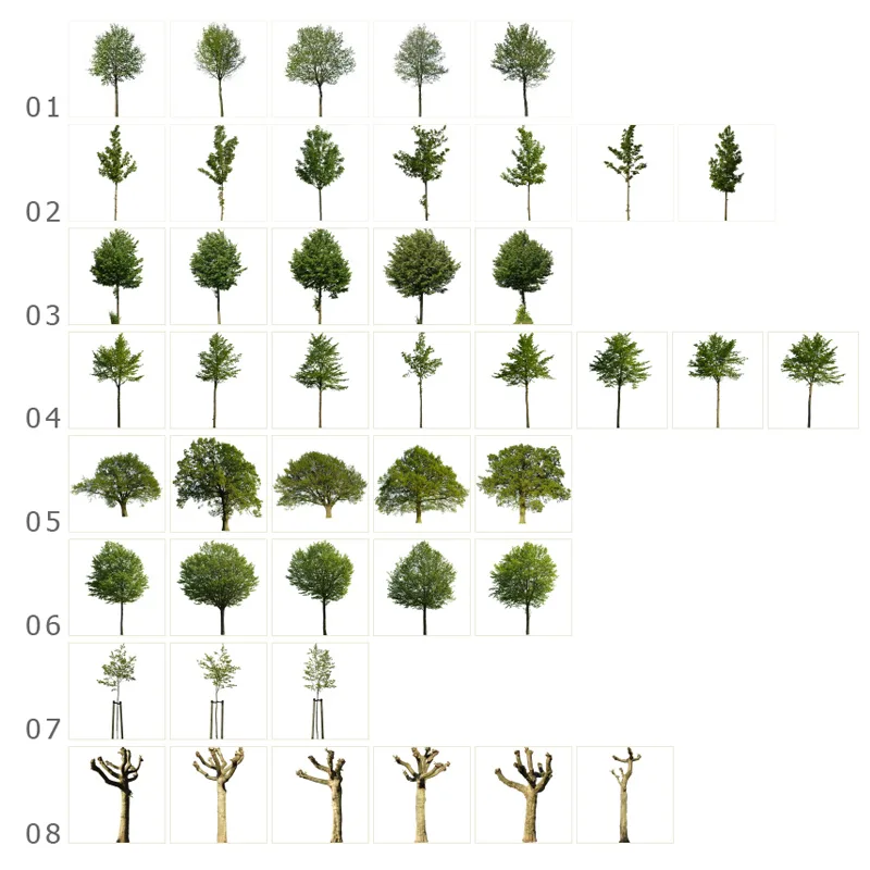 Übersichtstabelle mit verschiedenen Baum- und Strauchmodellen in unterschiedlichen Größen und Wachstumsstadien