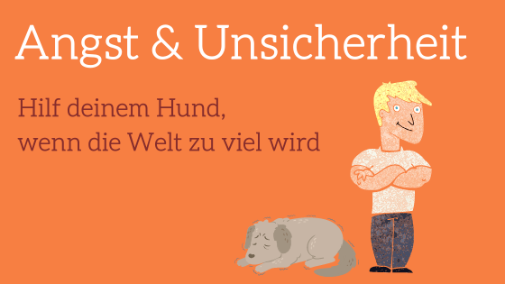 Angst & Unsicherheit – Videokurs zur Hundeerziehung 2 Hero-Banner zum Videokurs Angst & Unsicherheit mit illustriertem ängstlichem Hund und beruhigendem Mann auf orangem Hintergru