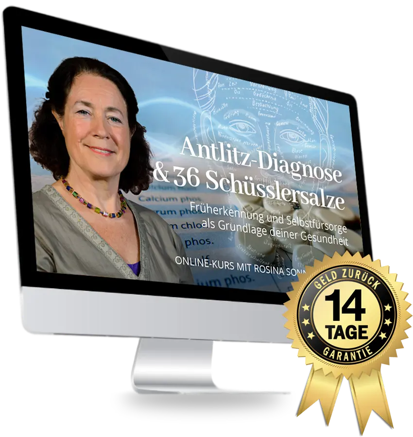 Mockup: Monitor mit Antlitz-Diagnose-Kurs und 14-Tage-Garantie-Siegel
