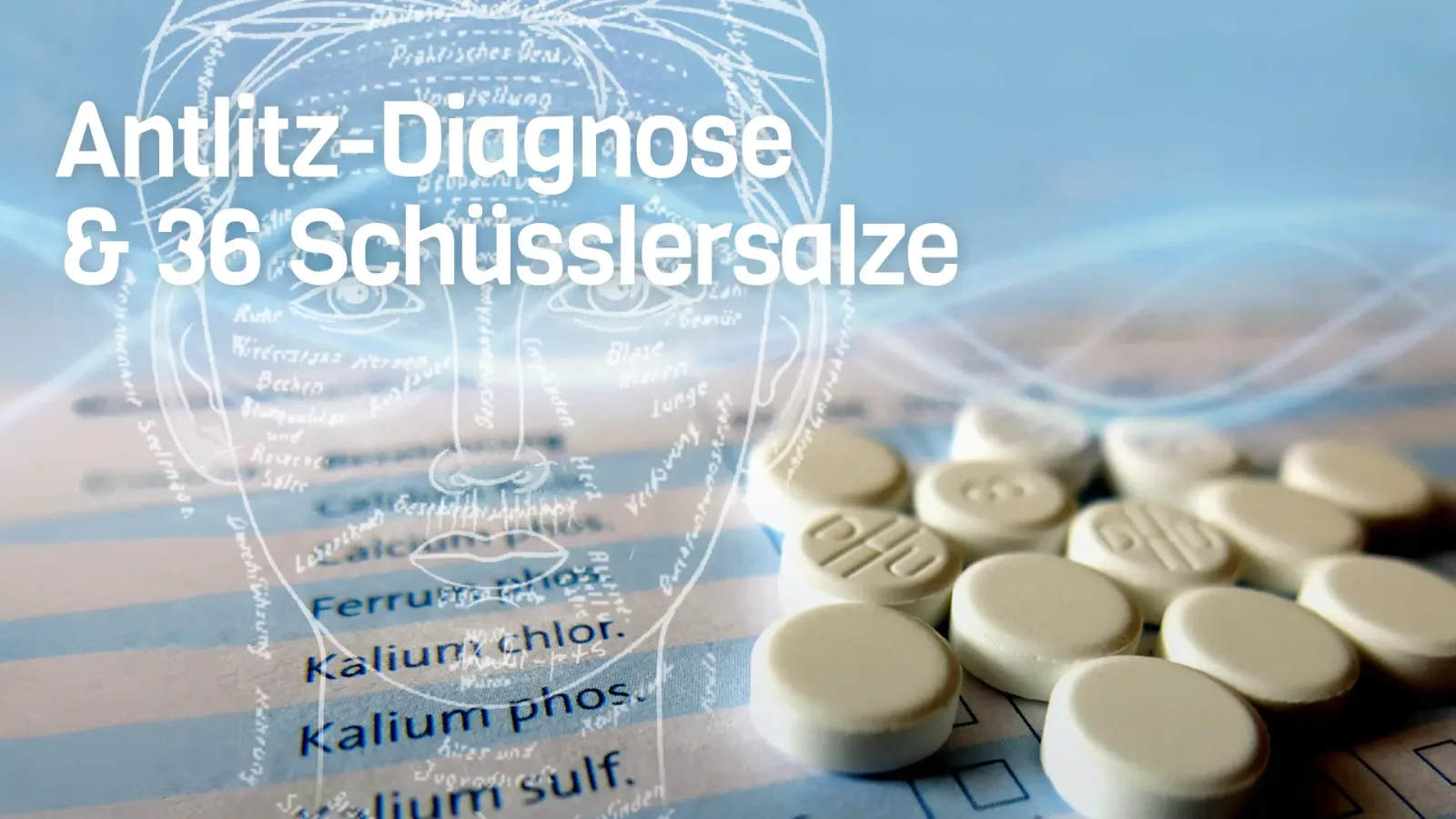 Hero-Banner mit Antlitz-Diagnose Grafik und Schüsslersalz-Tabletten