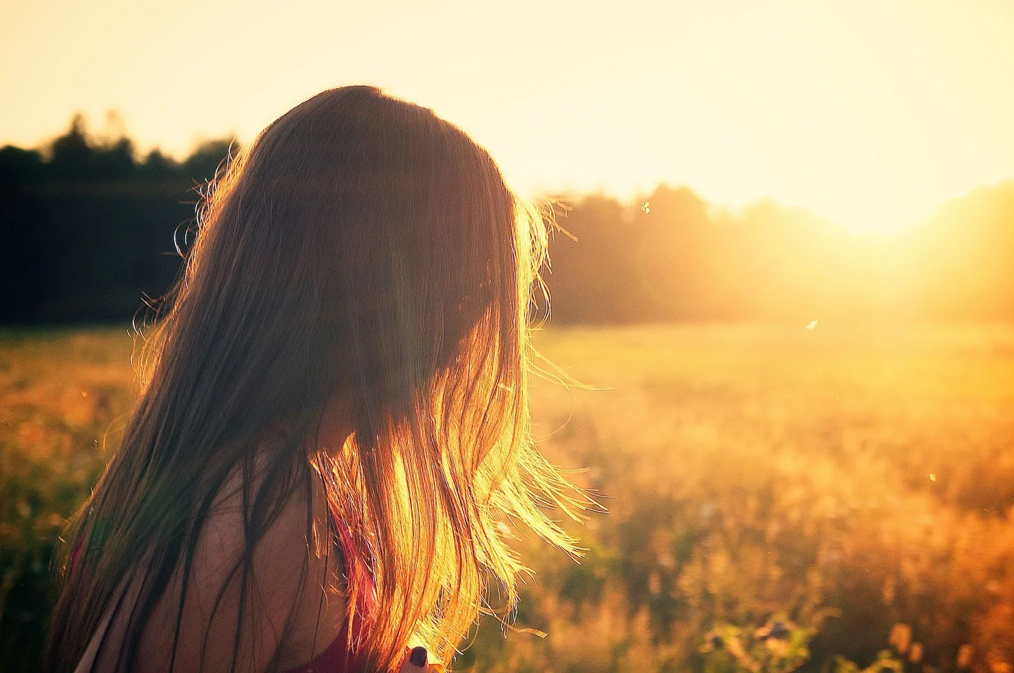 Frau mit langen Haaren von hinten im Feld bei Sonnenuntergang, Rückansicht, Natur