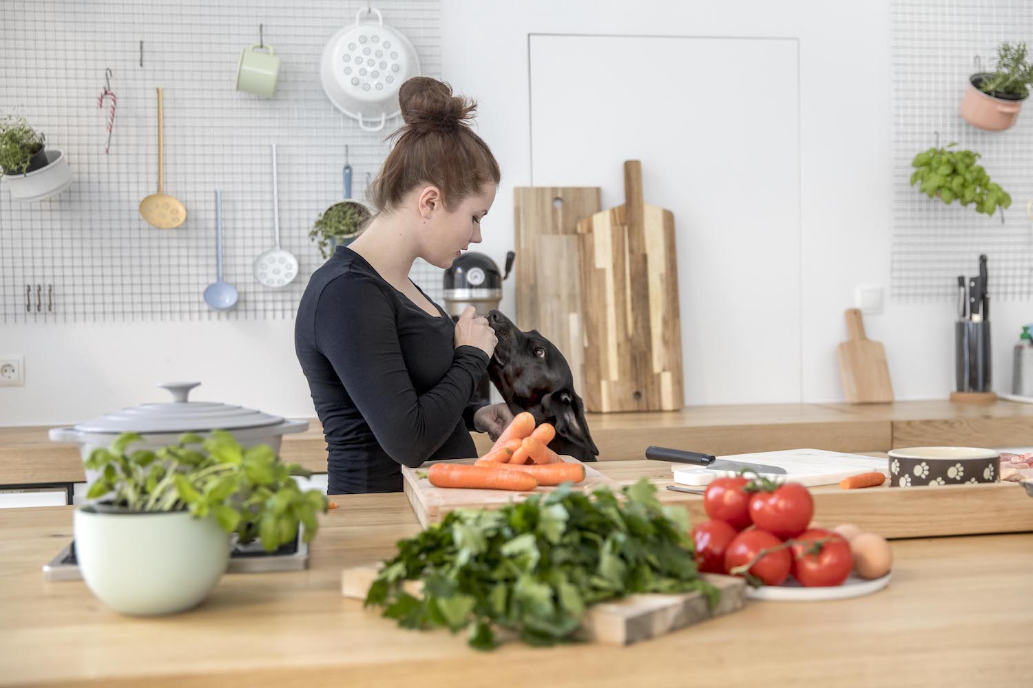 Ausbildung zum Hundeernährungsberater von Paulina Adamczyk 8 Frau mit Hund in Küche bei Zubereitung von Hundefutter mit Gemüse