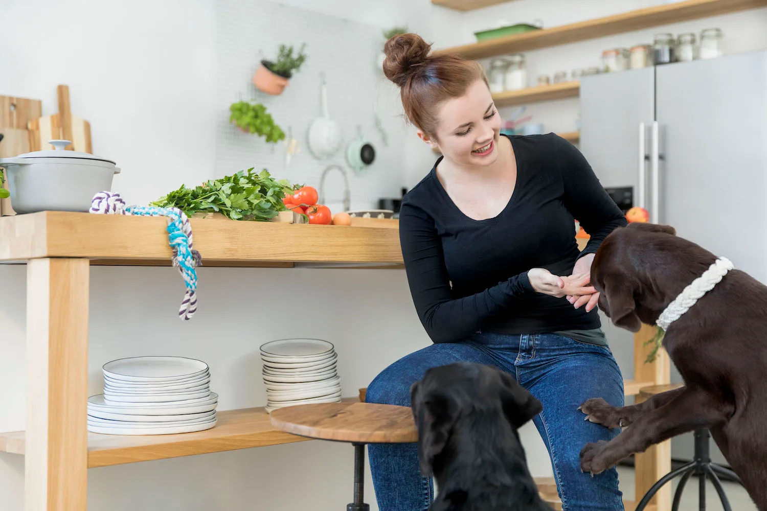 Ausbildung zum Hundeernährungsberater von Paulina Adamczyk 5 Frau sitzt mit zwei braunen Hunden an Holztisch mit Gemüse und Tellern