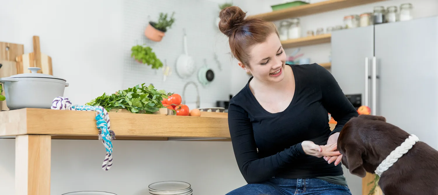 Ausbildung zum Hundeernährungsberater von Paulina Adamczyk 2 Frau mit braunem Dutt füttert braunen Hund in moderner Küche mit Gemüse