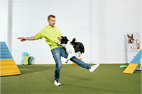 Trainer in Neongelb springt spielerisch mit schwarzweißem Hund auf Kunstrasen