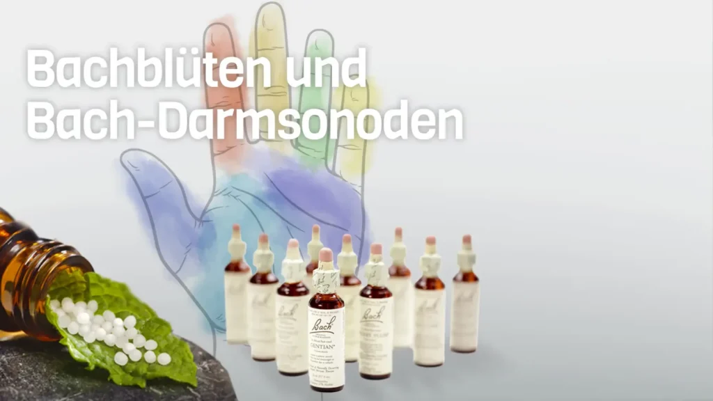Bachblüten und Bach-Darmnosoden – Naturheilkurs