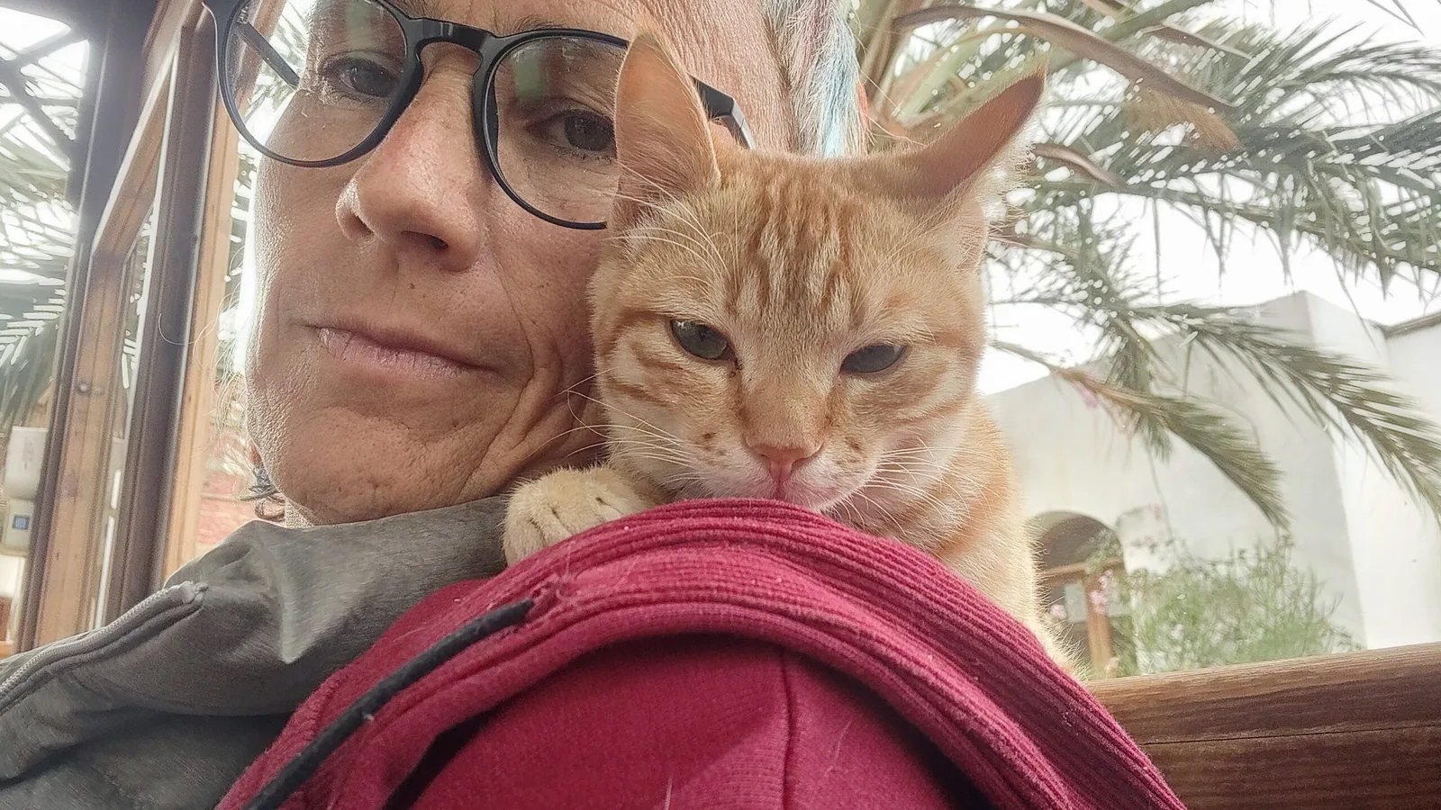 Ältere Frau (Irina) mit Brille hält orange-braune Katze am Fenster