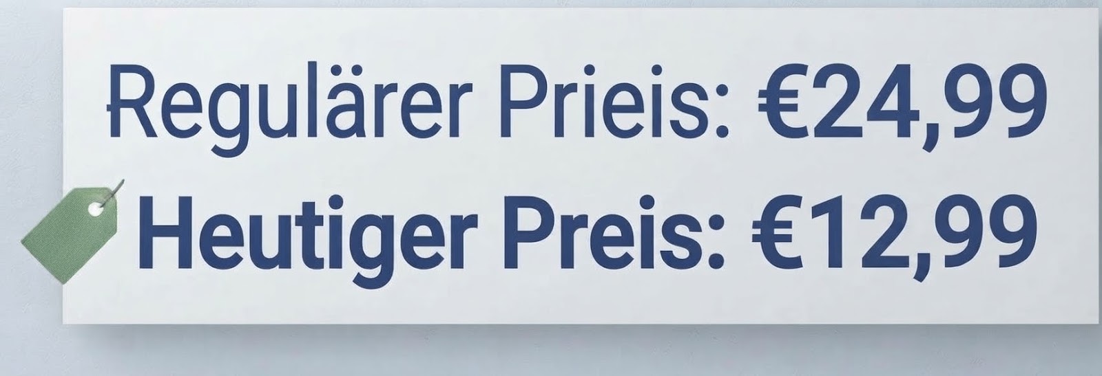 Preis-Banner mit regulärem Preis 24,99 Euro und aktuellem Preis 12,99 Euro mit Preis-Tag
