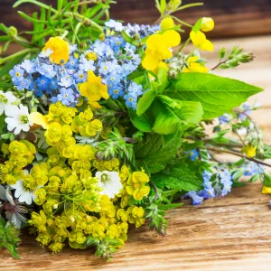 Bauch-Basics – Videokurs für gesunde Verdauung von Dörte Schmitten 9 Straußblüten mit blauen und gelben Wildblüten auf Holzuntergrund