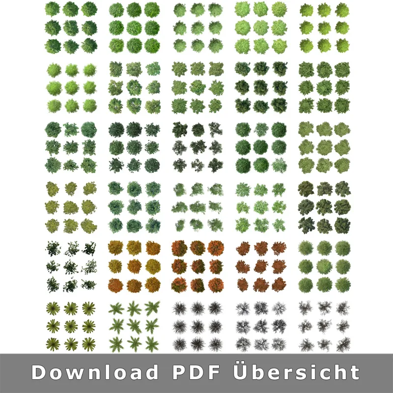 300er Kollektion Bäume in Draufsicht ohne Hintergrund PNG, verschiedene Baum-Silhouetten in unterschiedlichen Grüntönen und J