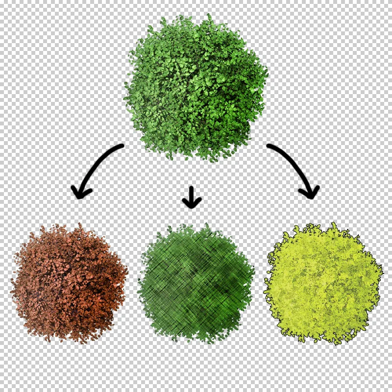 Grüner Baum in Draufsicht mit Pfeilen zu drei bearbeiteten Farbvarianten (braun, grün-gemustert, gelb-grün)