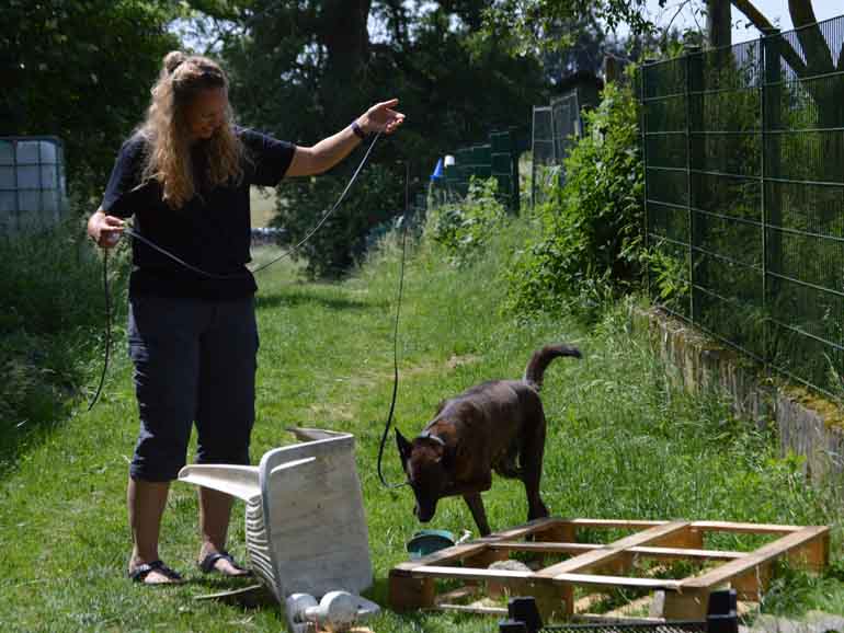 Nadine Thuss trainiert braunen Hund an der Leine auf grüner Wiese