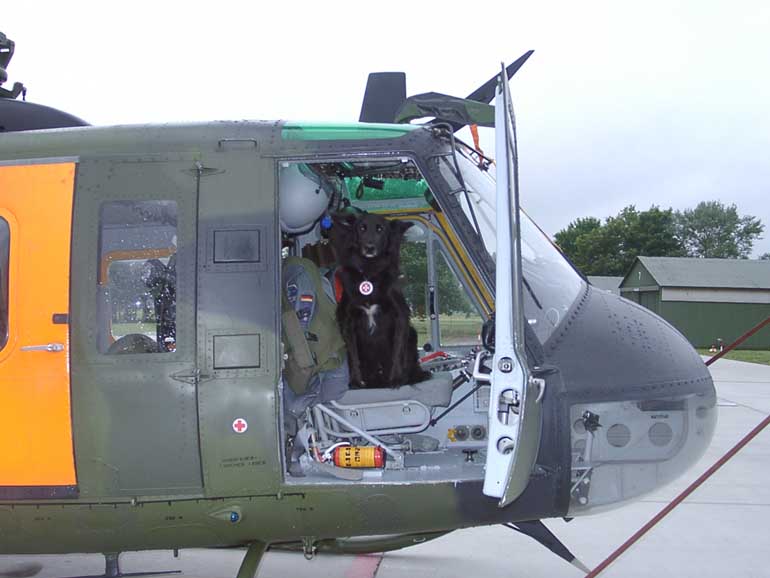 Schwarzer Hund sitzt in offener Hubschrauber-Tür, Rettungshund im Einsatz
