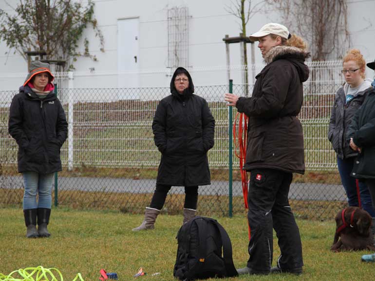 Nadine Thuss unterrichtet vier Personen mit Hunden auf Wiese, Trainingssituation