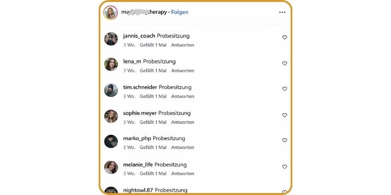 Instagram-Screenshot mit Follower-Liste und Probesitzung-Beiträge verschiedener Nutzer