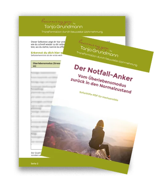 Mockup der becoming you Produktserie von Tanja Grundmann mit grünem Hintergrund und weißem Band