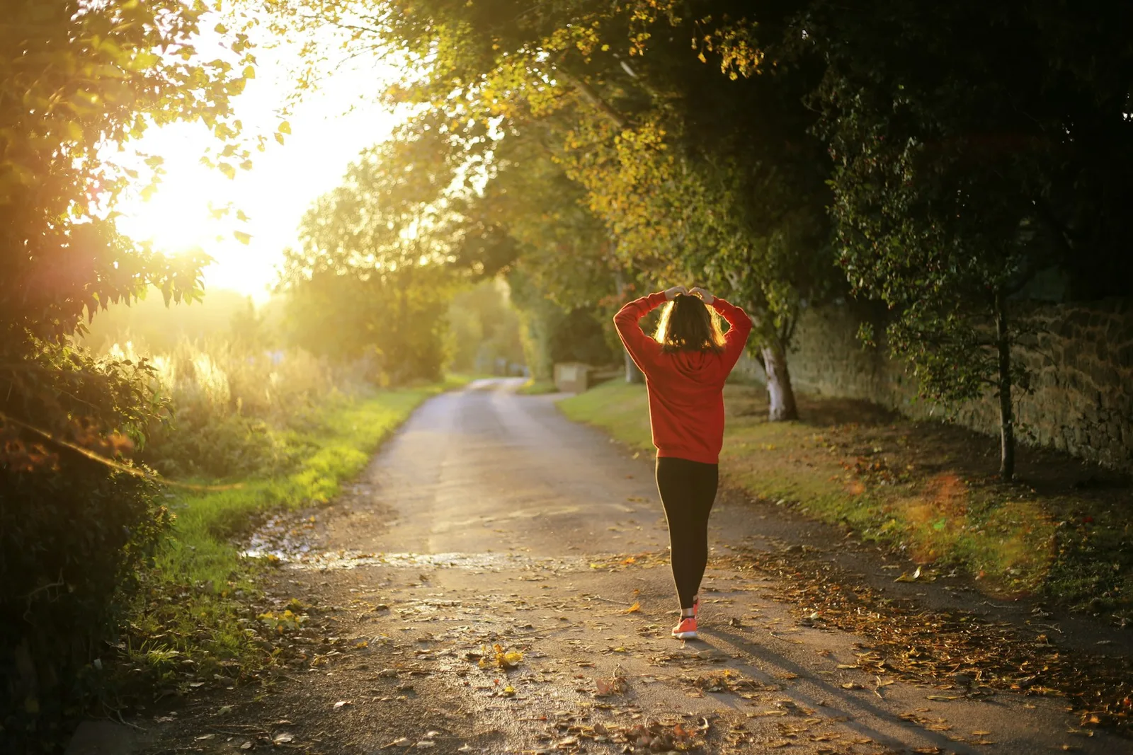 Frau in rotem Sportshirt joggt auf Landweg unter Baumtunnel bei Sonnenaufgang