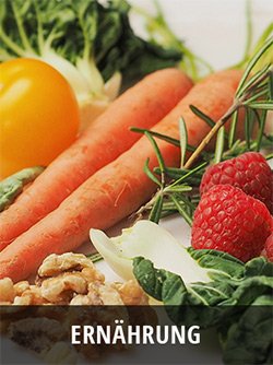 Frisches Gemüse und Obst: Möhre, Orange, Himbeeren, Nüsse auf weißem Untergrund