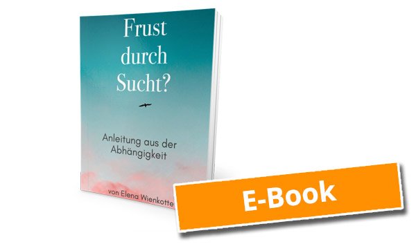 E-Book Cover »Frust durch Sucht?« von Elena Wienkotte mit Buch-Mockup und orange Textbanner