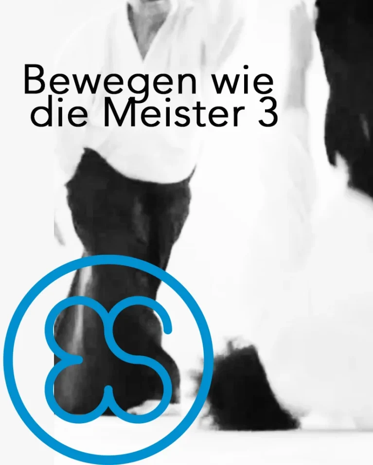 Bewegen wie die Meister 3 – Videokurs für Beweglichkeit