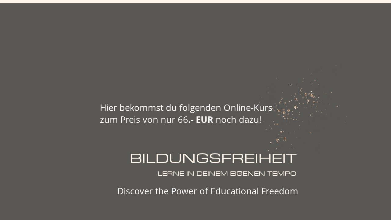 Bildungsfreiheit – Lerne in deinem eigenen Tempo – Ansicht der Verkaufsseite