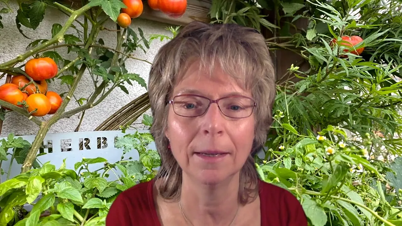 Frau mit Brille vor Tomatenplanze und Kräutern im Balkon-Garten
