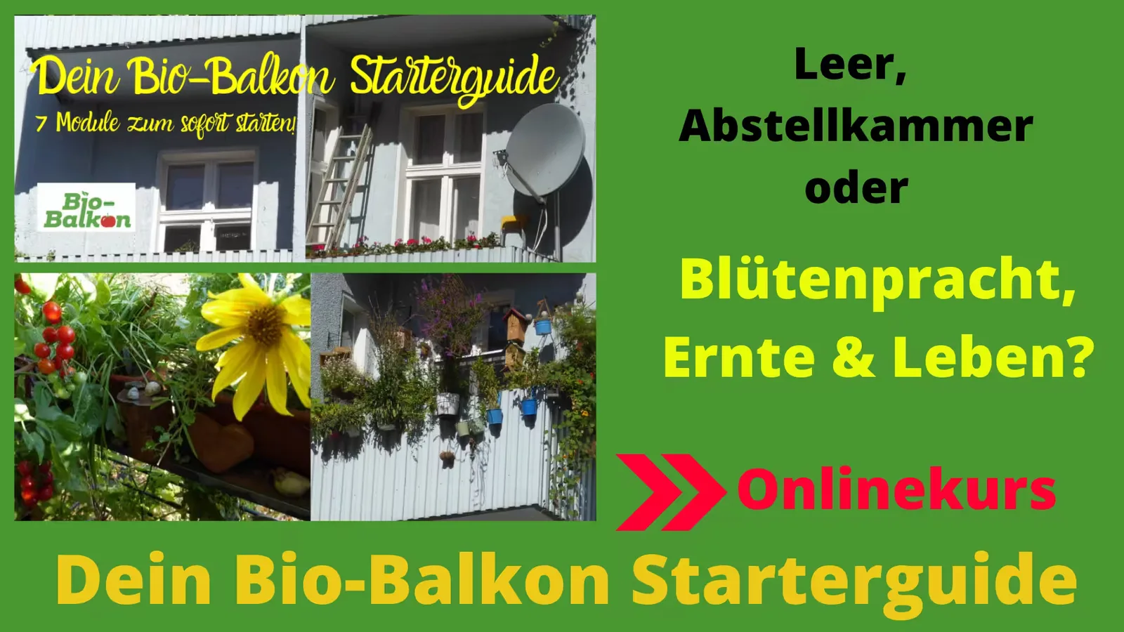 Hero-Bild Bio-Balkon Starterguide mit Kursmodulen, Balkonfotos und gelbem Schriftzug