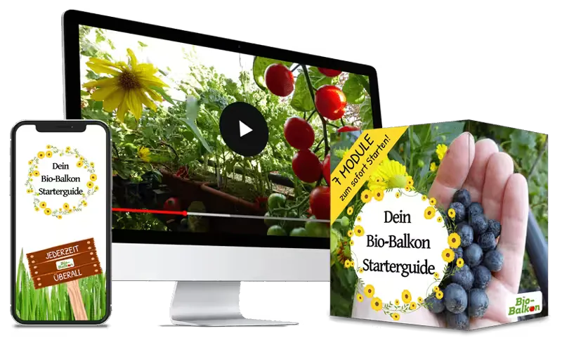 Kurscover Bio-Balkon Starterguide mit Produktmockup