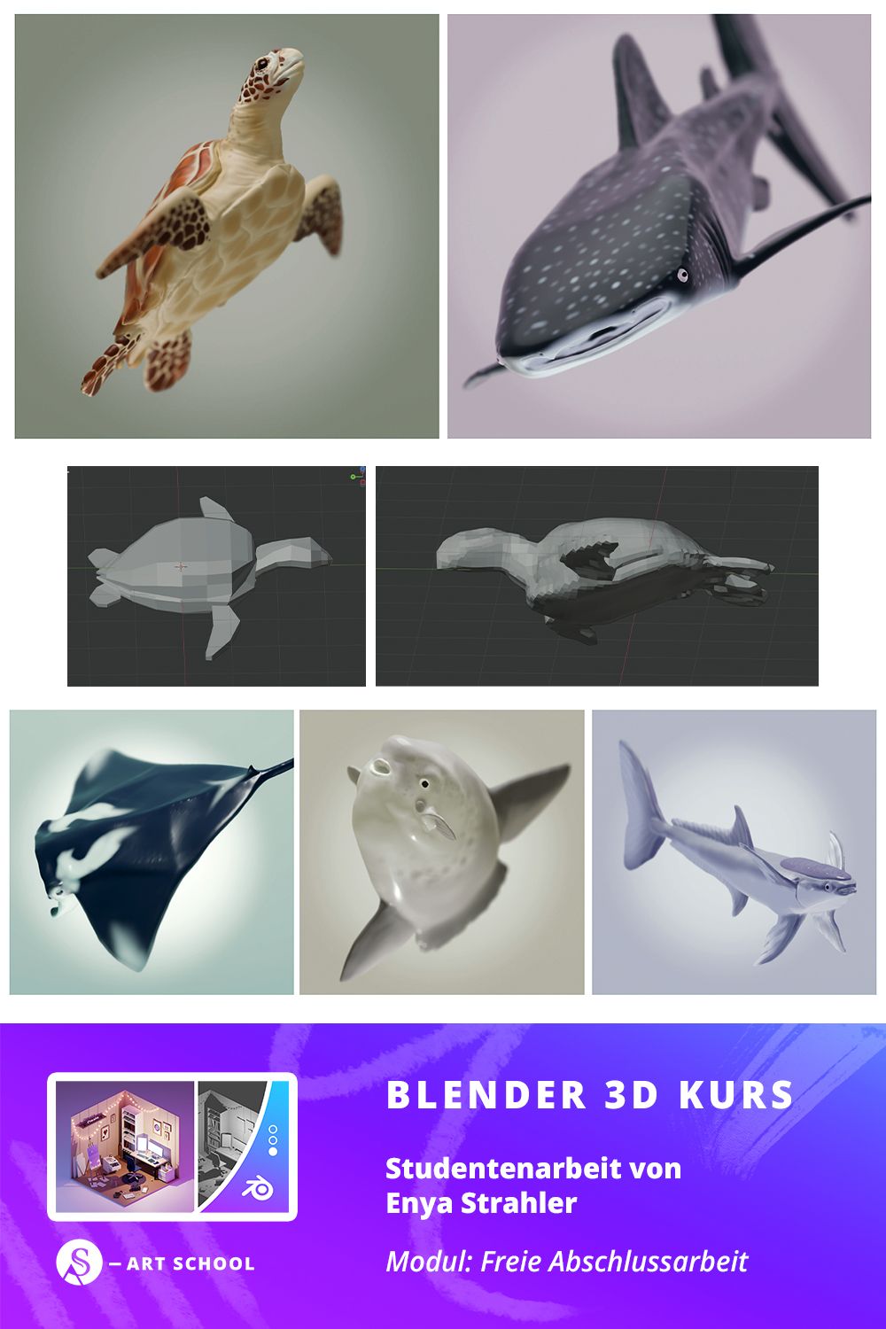 3D-modellierte Meerestiere: Schildkröte, Wal und Haie mit verschiedenen Renderstadien