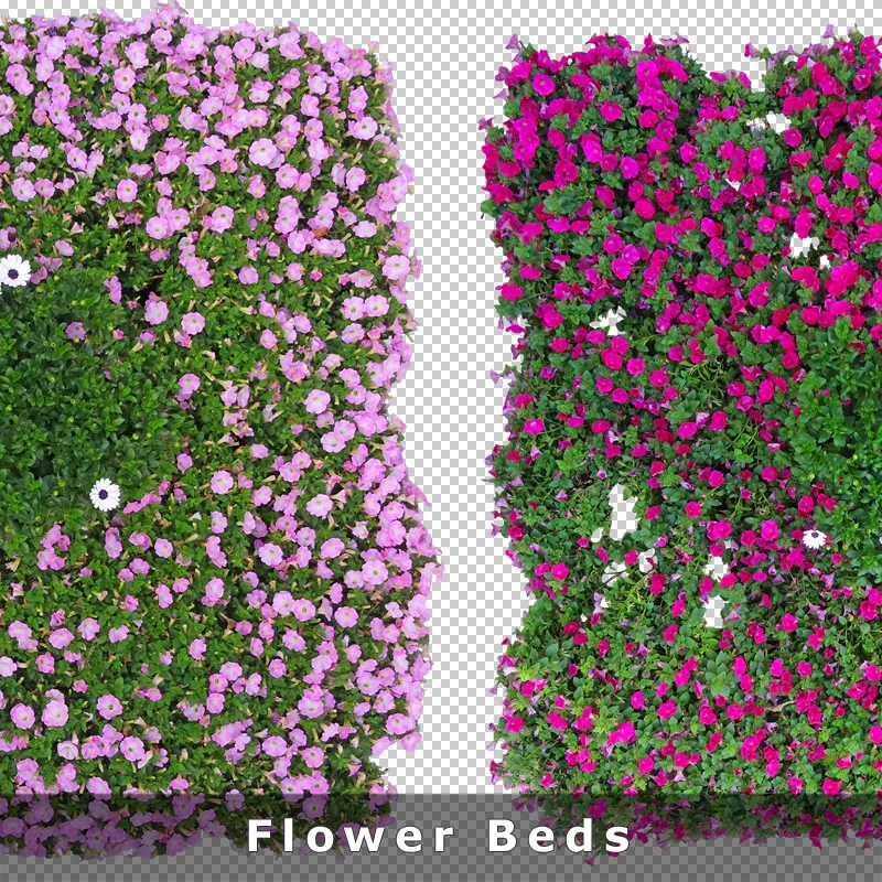 Blumenbeet Draufsicht Ausschnitt für Visualisierung