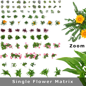 2d-flower-photo-symbol-download
