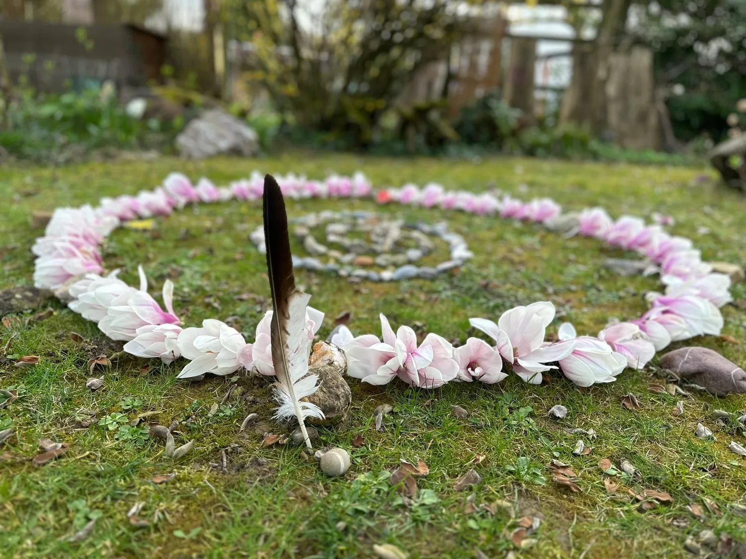 Kreis aus weiß-rosa Blüten auf grüner Wiese mit schwarzer Feder und Schneckenzeichnung, Schamanische Ausbildung
