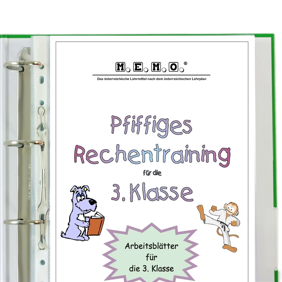 Pfiffiges Rechentraining 3 Workbook für 3. Klasse Mathematik