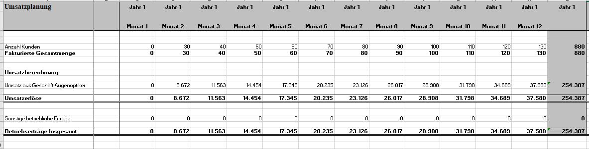 Umsatzplanung Tabelle mit 12 Monaten und Kundenzahlen