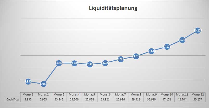 Liquiditätsplanung Liniendiagramm mit Cashflow-Entwicklung über 12 Monate