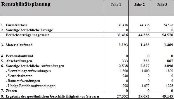 Rentabilitätsplanungstabelle für Jahre 1–3 mit Umsatz, Kosten und Ergebnis, 596×339 Pixel