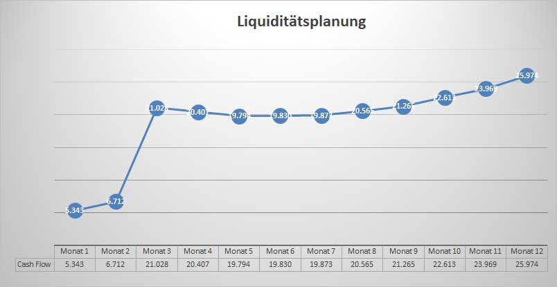 Liquiditätsplanungs-Grafik mit Liniendiagramm zeigt monatliche Cashflows über 12 Monate