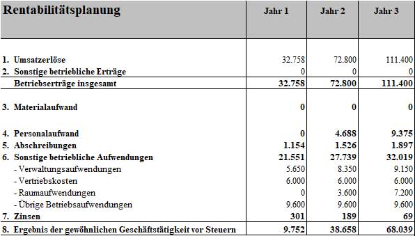 Rentabilitätsplanungstabelle Businessplan Finanzberater für 3 Jahre