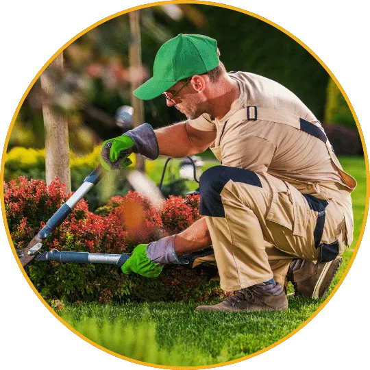 Businessplan Garten- und Landschaftsbau – Word- und Excel-Vorlage 11 Gärtner in grüner Kappe kniet im Beet und arbeitet mit Gartenwerkzeugen an Pflanzen