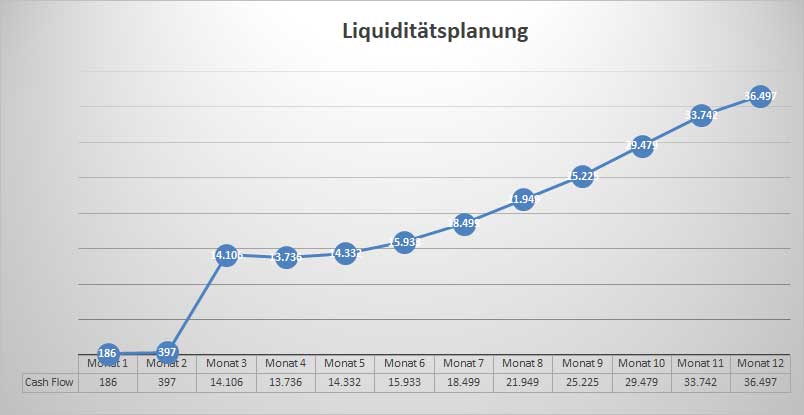 Businessplan Gold- und Silberschmied – Vorlage mit Finanzplan 10 Liquiditätsplanungsgrafik mit Cashflow-Kurve über zwölf Monate