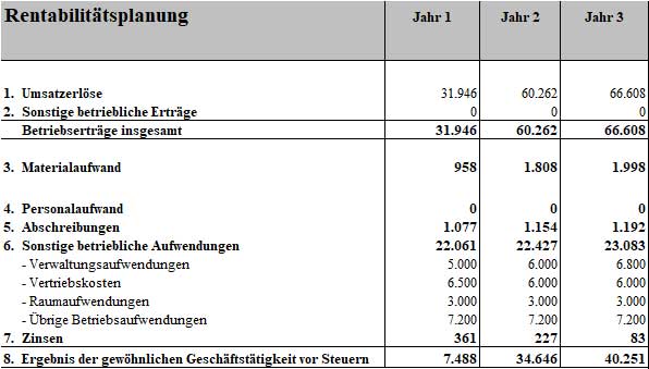 Rentabilitätsplanungstabelle Businessplan Hundeschule für 3 Jahre