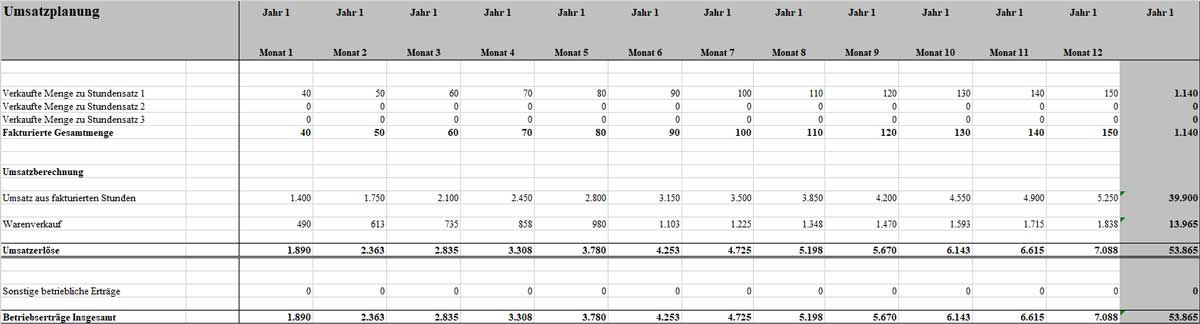 Umsatzplanungstabelle für Businessplan Parkettleger mit monatlichen Einnahmen über 12 Monate