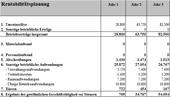 Rentabilitätsberechnung und Gewinnprognose Businessplan Psychologe