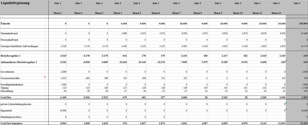 Businessplan Reiseveranstalter von Dirk Leimkuhl 7 Liquiditätsplanungstabelle mit monatlichen Cashflow-Daten über 12 Monate