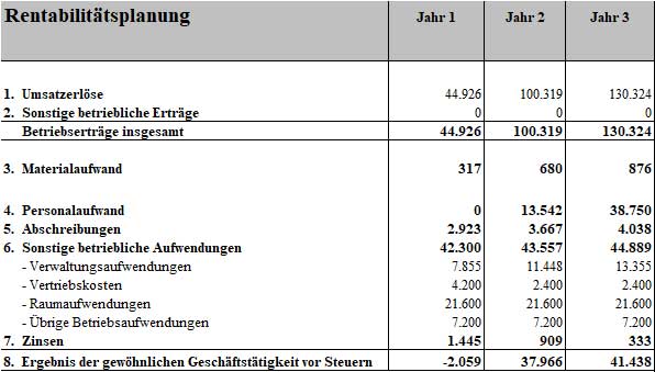 Rentabilitätsplanung Businessplan Tanzschule für 3 Jahre, Finanzübersicht