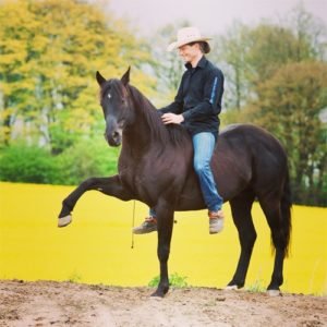 Thomas Günther auf schwarzem Pferd, Trainer für Form, Balance und freies Einfangen