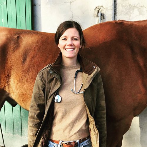 Dr. Veronika Klein mit braunem Pferd, Veterinärin für Gesundheitschecks