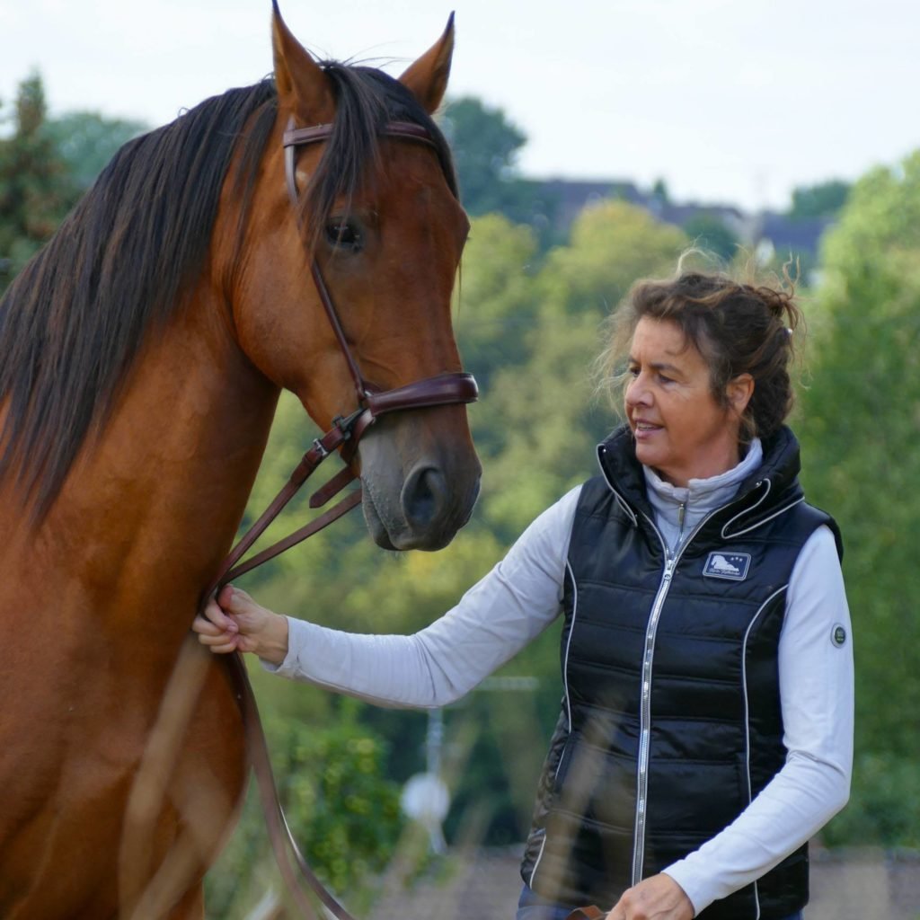 Karin Kattwinkel mit braunem Pferd im Gelände, Trainerin für Zirkuslektionen und Therapie