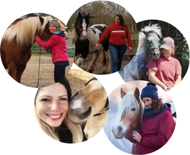 Collage mit fünf Kundenfotos von Personen mit Pferden bei verschiedenen Aktivitäten